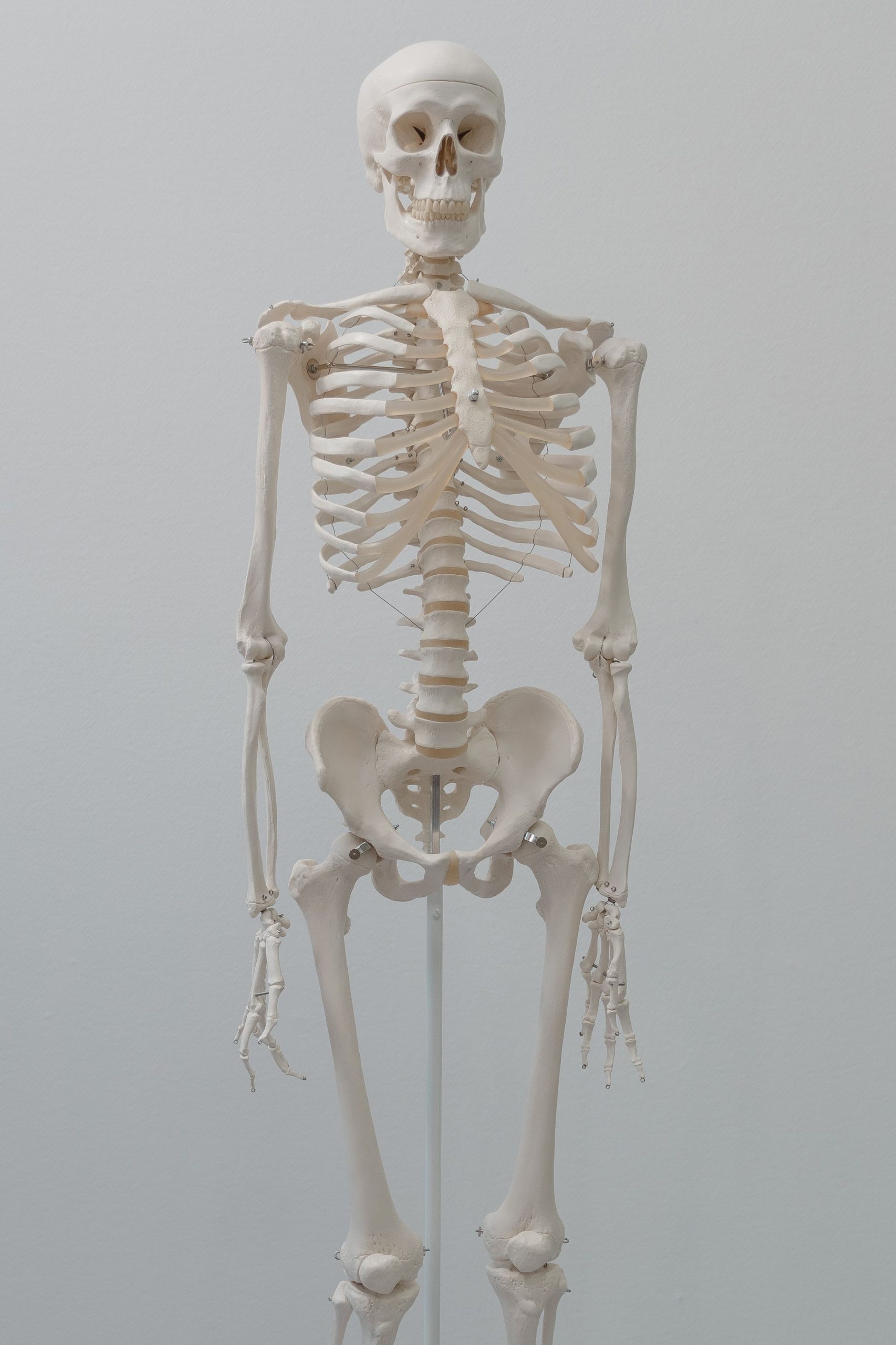 Exercise and bone health
